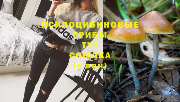 mdpv Баксан