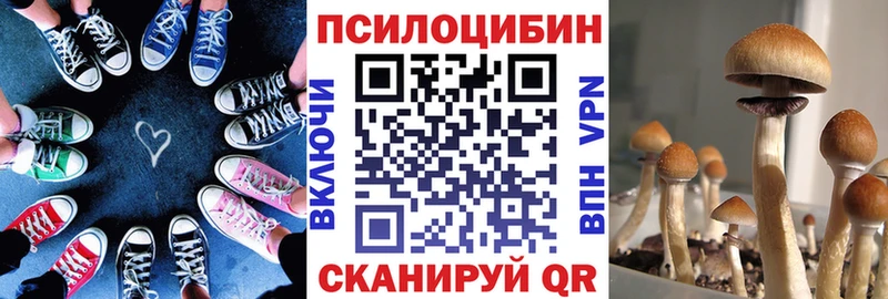 Псилоцибиновые грибы MAGIC MUSHROOMS  Козьмодемьянск 